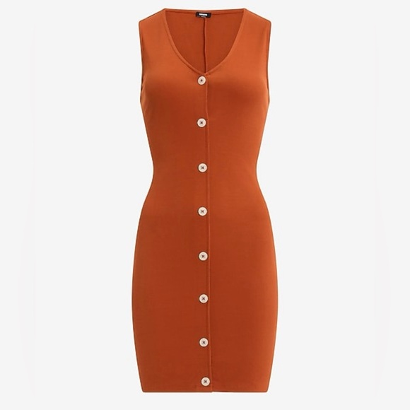 Express Sleeveless Button-Down Dress in Rust - Picture 4 of 7